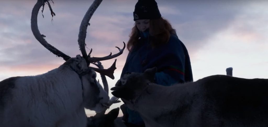 renos-laponia-suecia